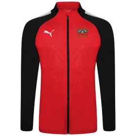 Jacket Puma Team Liga Training